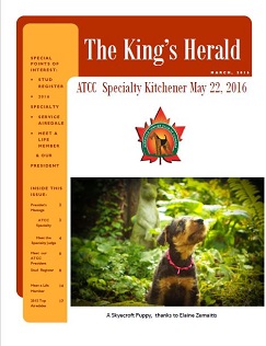 Click here to download the March 2016 issue of The King's Herald.
